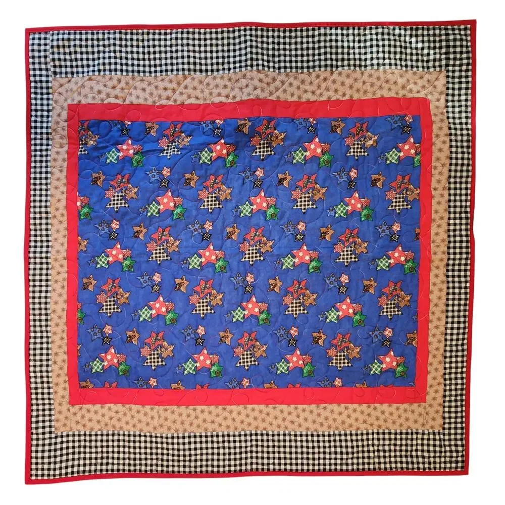 Handmade, New Lap quilt Blue & Red, Stars, Gingham, Wall Hanging, decor